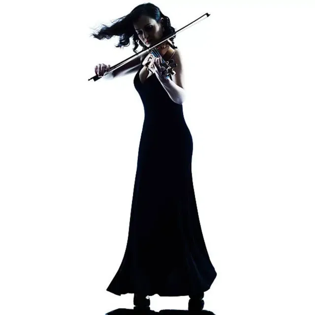 Violinist in a long dark gown, shown in silhouette